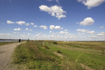RSPB Rainham Marshes