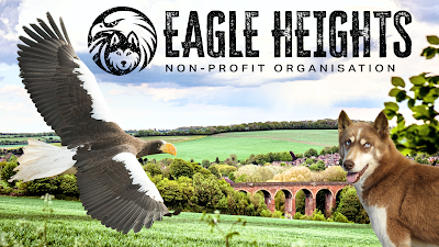 Eagle Heights Wildlife Foundation