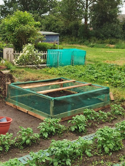 Bexley Allotments - Knoll Road