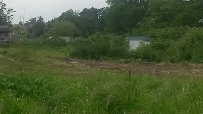 Bexley Allotments - Lesney Farm