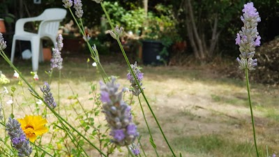 Bexley Allotments