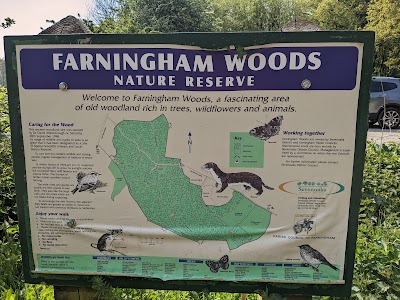 Farningham Woods Nature Reserve