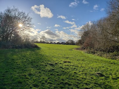 Belmont Open Space