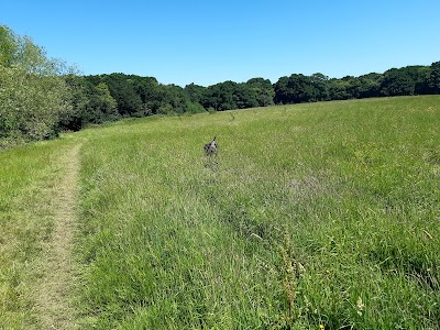 Eltham Park North