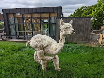 Horniman Animal Walk