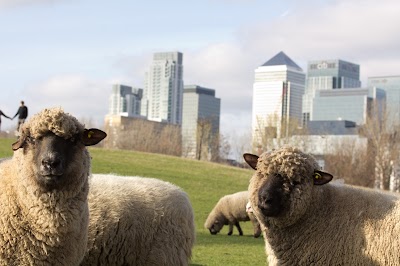 Mudchute Park and Farm