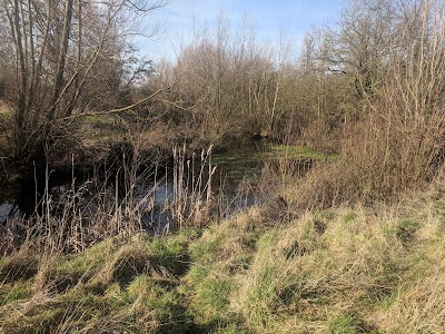 Down Barns Moated Site